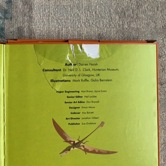 T.Rex Build & Read Set - Picture 9 of 9